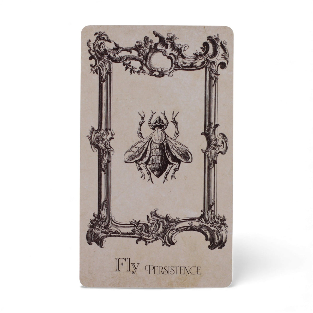 Orakelkarten The Spellbook – Witchcraft Deck