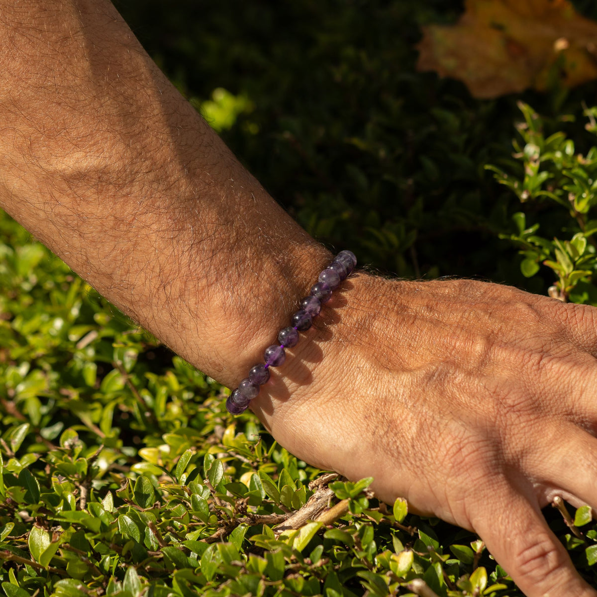 Amethyst-Armband Petite – 6 mm Perlen, 17 cm